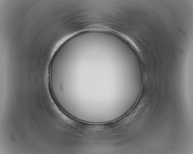 X0000113221387200909100913
