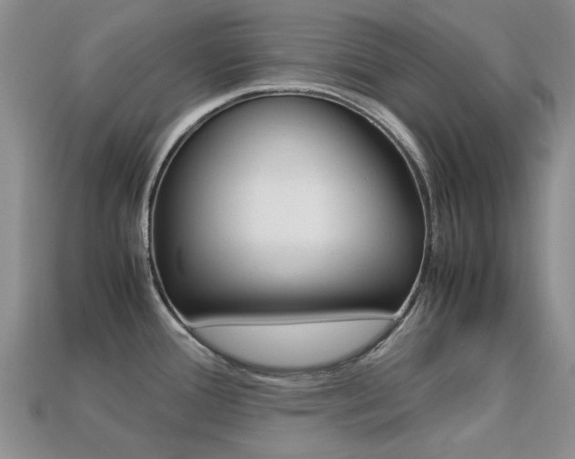 X0000113221388200909100913