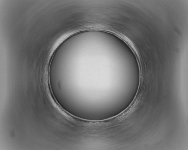 X0000113221389200909100913