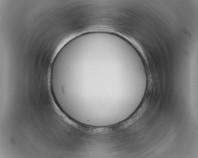 X0000113221390200909100913
