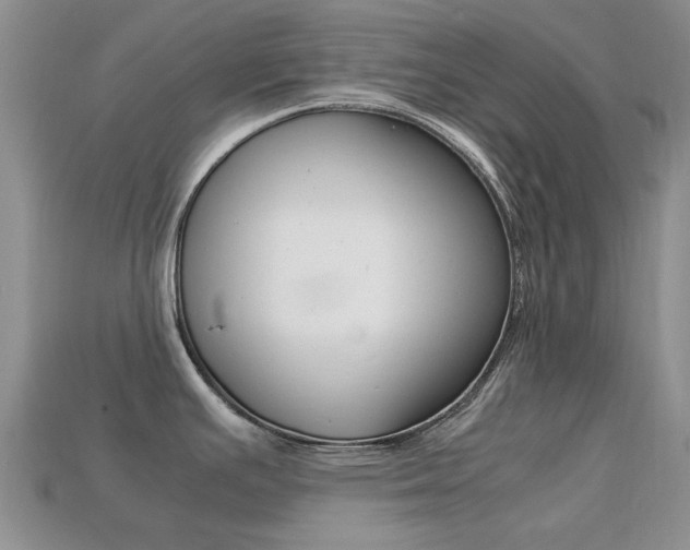 X0000113221391200909100913