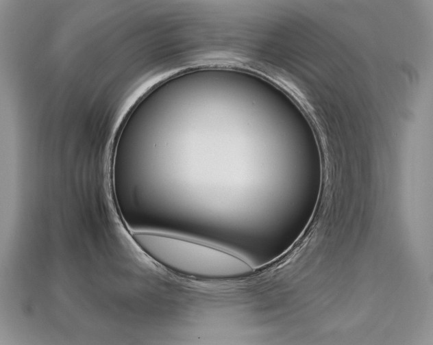 X0000113221392200909100913