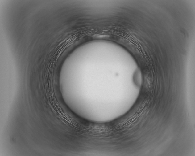 X0000113221393200909100912