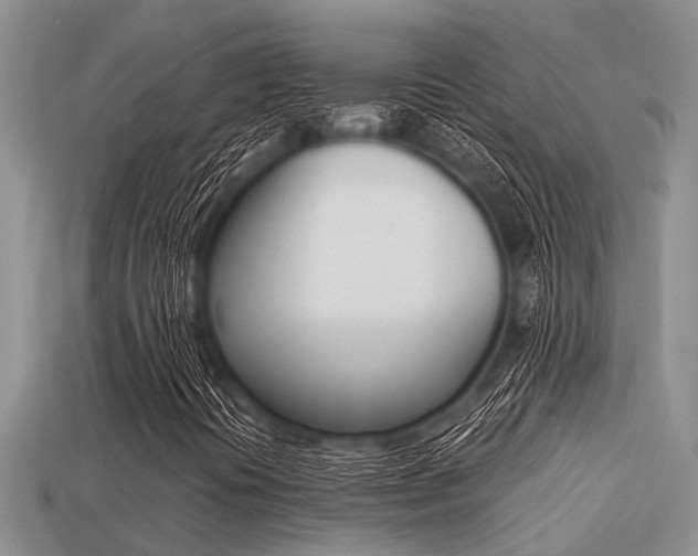 X0000113221394200909100912