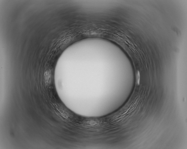 X0000113221395200909100912