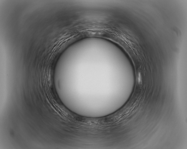 X0000113221396200909100912