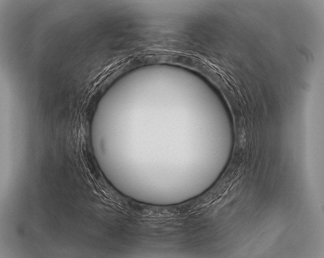 X0000113221397200909100912
