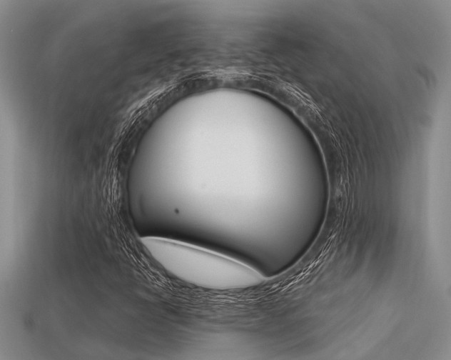 X0000113221398200909100912