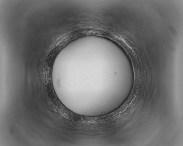 X0000113221399200909100912