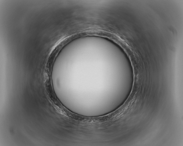 X0000113221400200909100912