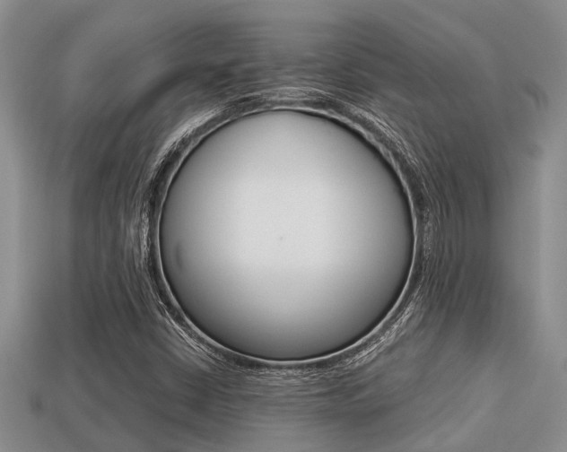 X0000113221402200909100912