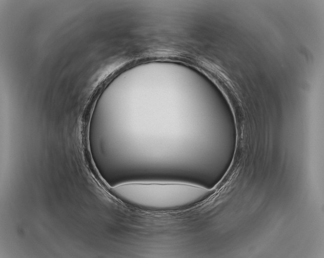 X0000113221404200909100912