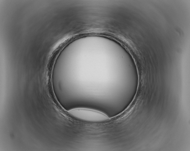 X0000113221406200909100912