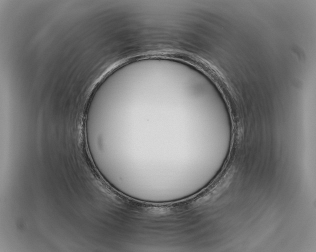 X0000113221409200909100912