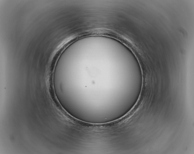 X0000113221410200909100912