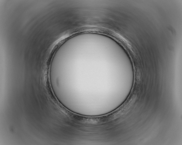 X0000113221411200909100912
