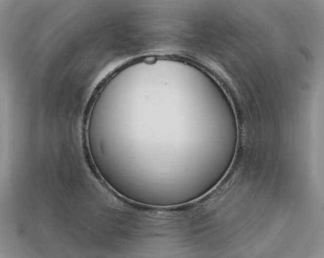 X0000113221412200909100912