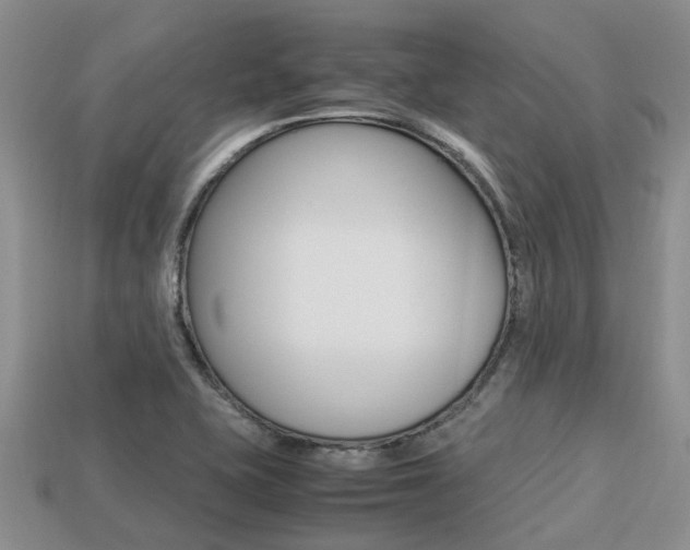 X0000113221415200909100912