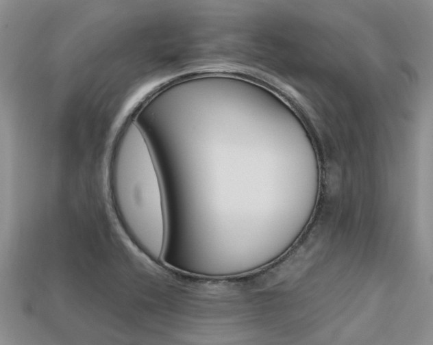 X0000113221416200909100912