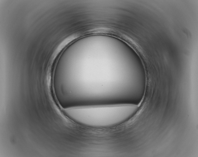 X0000113221418200909100912