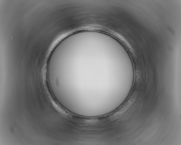X0000113221421200909100912