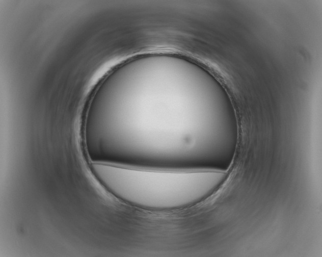 X0000113221422200909100912