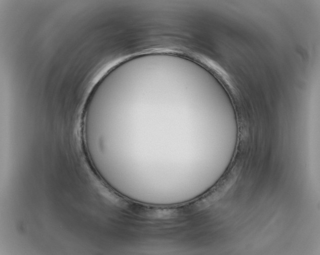 X0000113221423200909100912