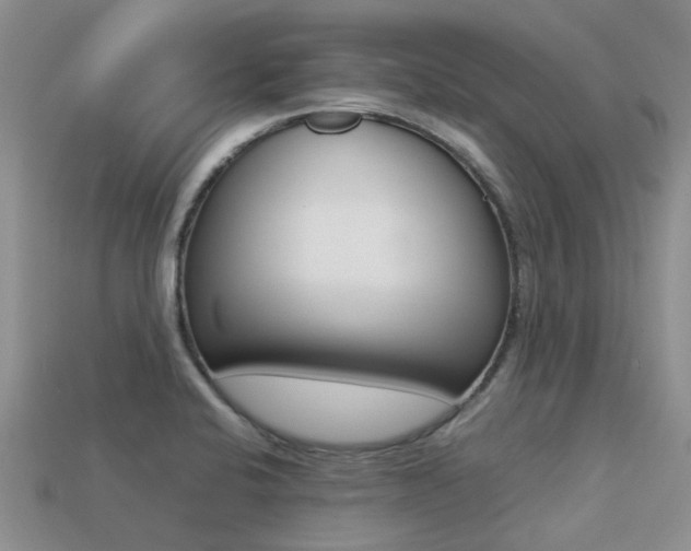 X0000113221424200909100913