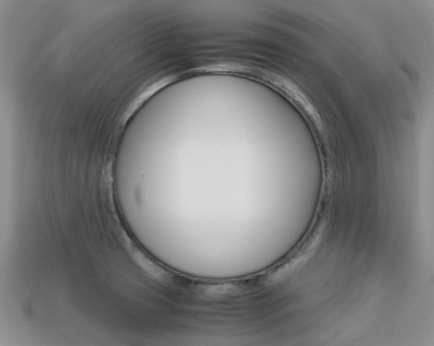 X0000113221425200909100913