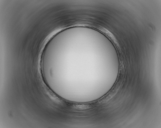 X0000113221427200909100913