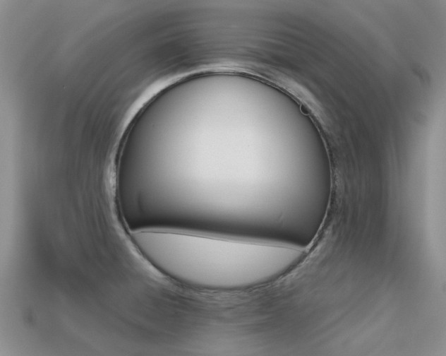 X0000113221428200909100913