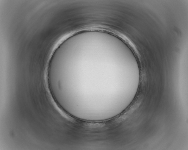 X0000113221429200909100913