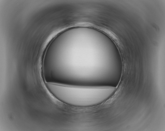 X0000113221430200909100913
