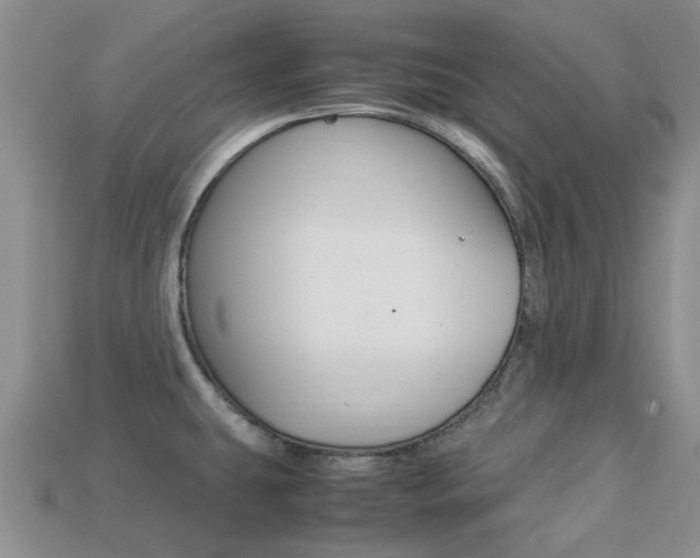 X0000113221431200909100913