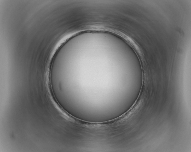 X0000113221432200909100913