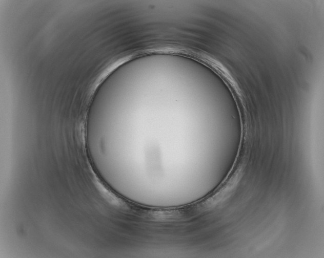 X0000113221433200909100913