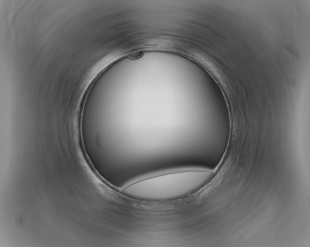 X0000113221434200909100913
