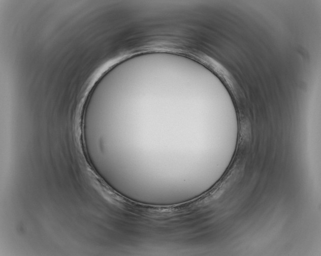 X0000113221435200909100913