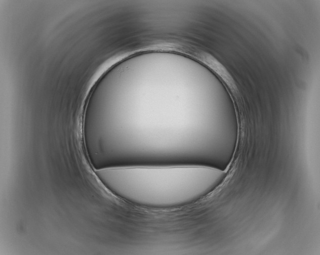 X0000113221436200909100913