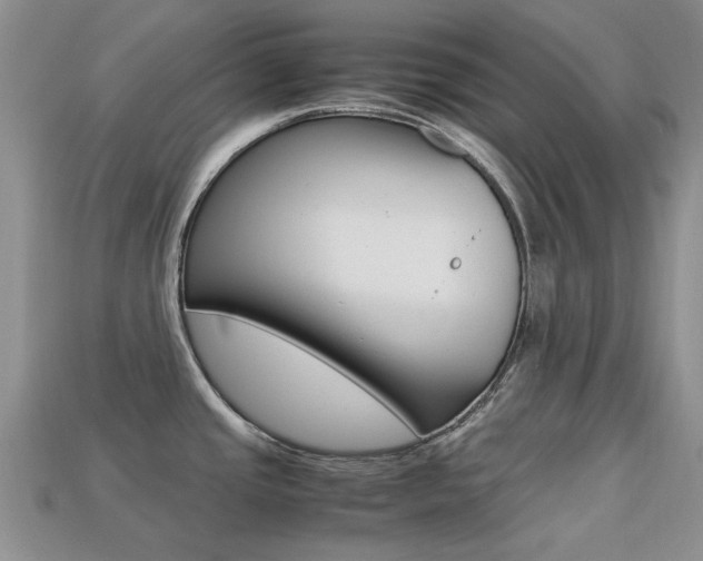 X0000113221437200909100913