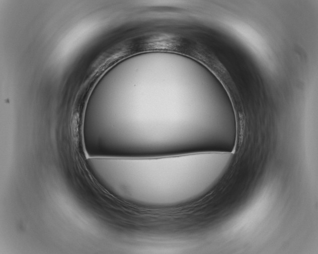 X0000113221438200909100913