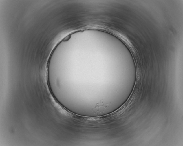X0000113221439200909100913