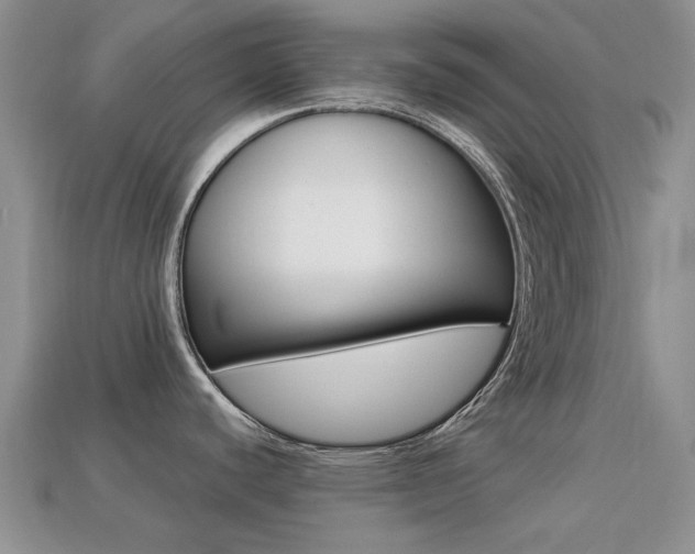 X0000113221440200909100913