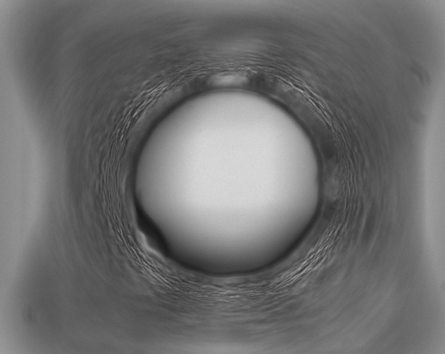 X0000113221441200909100912