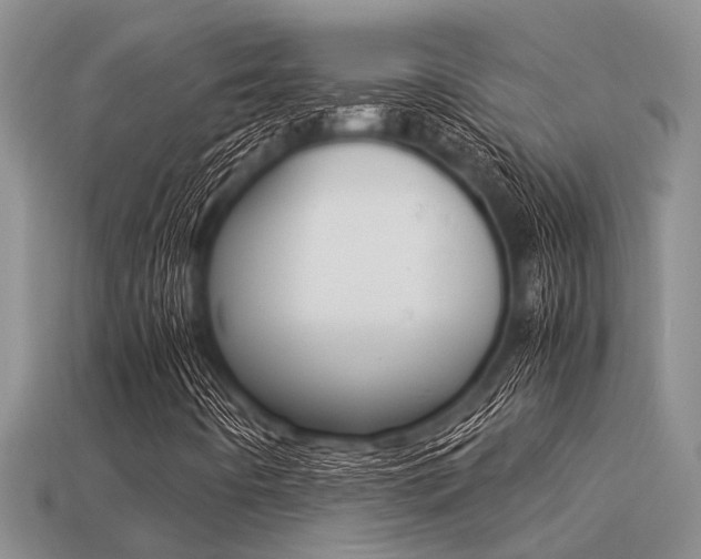 X0000113221442200909100912