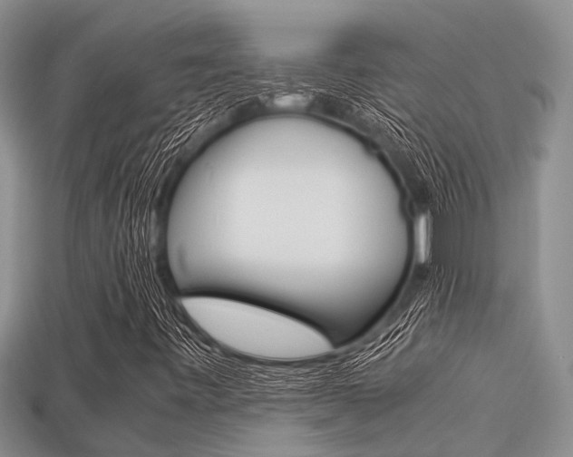 X0000113221443200909100912