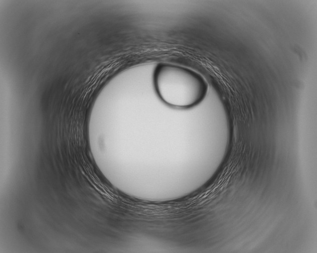 X0000113221444200909100912