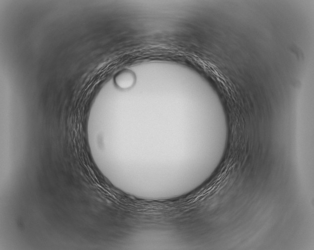 X0000113221445200909100912