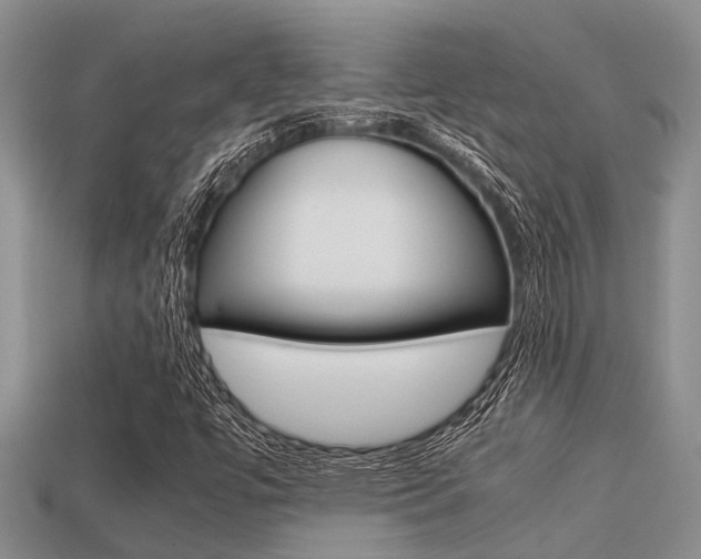 X0000113221447200909100912