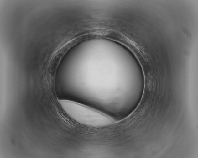 X0000113221448200909100912